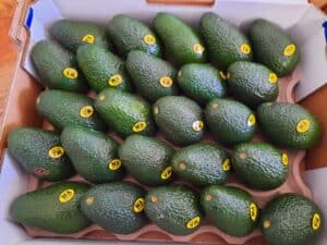 5kg Avocado tray - Southwest WA