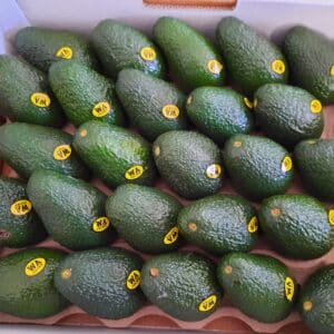 5kg Avocado tray - Southwest WA