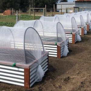 Garden beds
